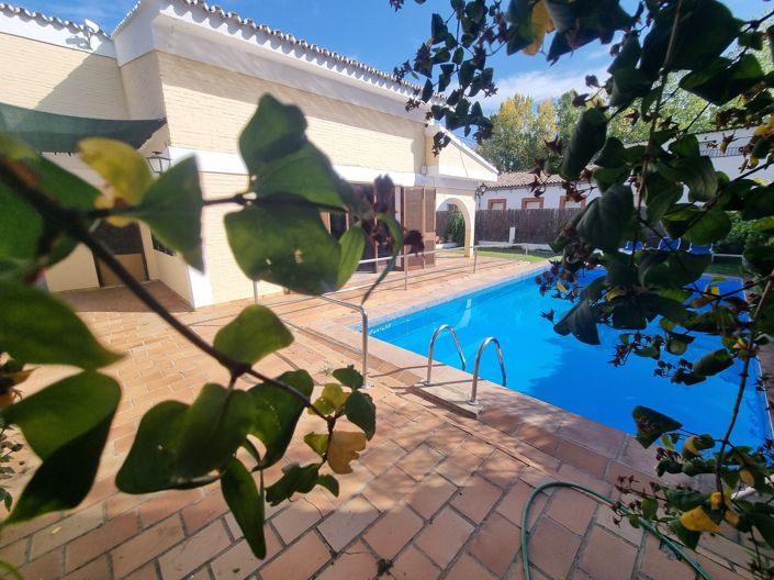 Image No.3-4 Bed Villa for sale
