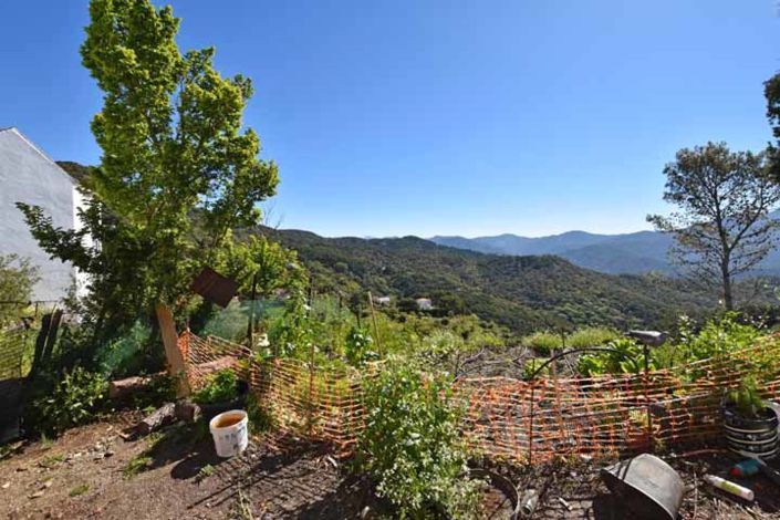 Image No.1-Property for sale