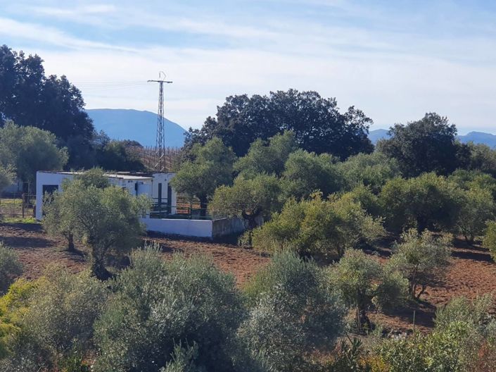 Image No.29-Maison de campagne de 6 chambres à vendre à Ronda