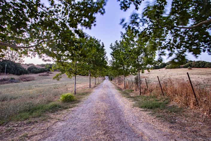 Image No.39-Propriété de 4 chambres à vendre à Jimena de la Frontera