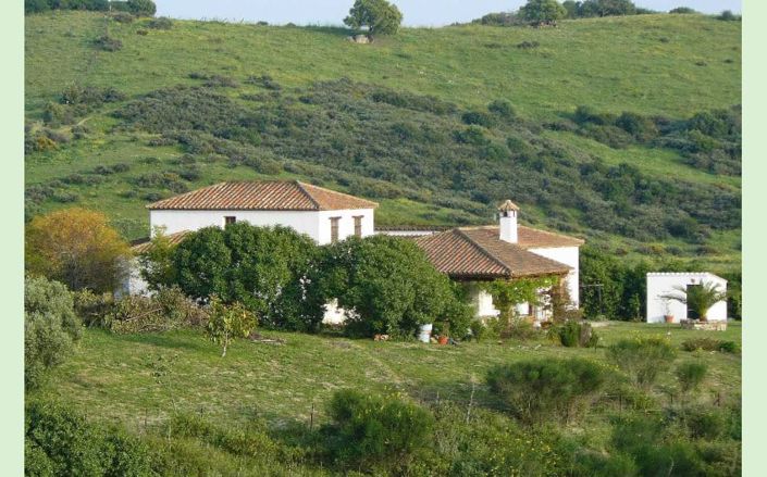 Image No.7-5 Bed Country House for sale