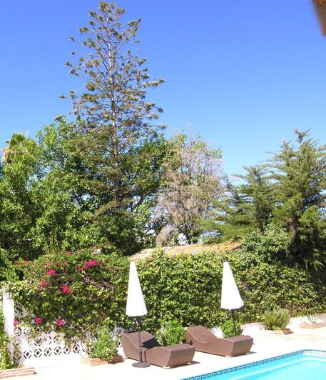 Image No.28-8 Bed Villa for sale