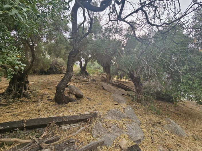 Image No.23-5 Bed Property for sale