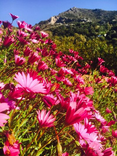 Image No.34-5 Bed Property for sale