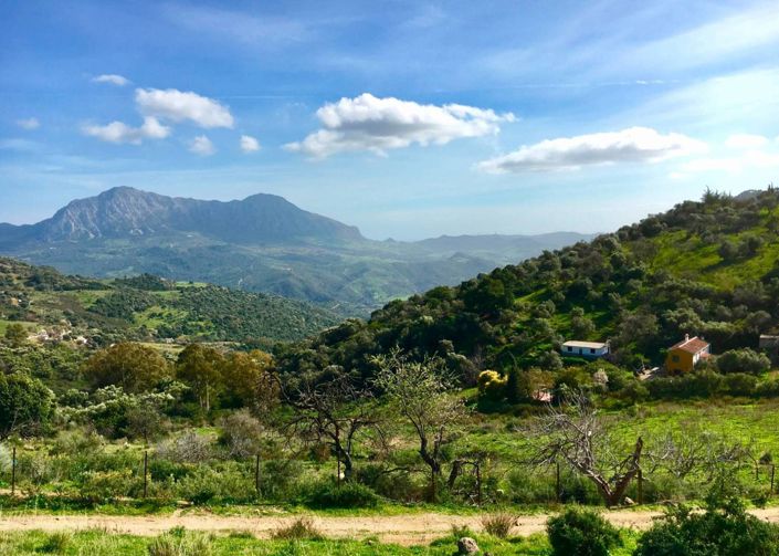 Image No.39-5 Bed Property for sale