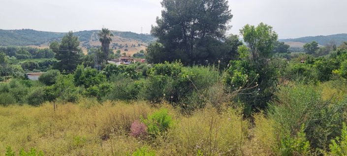 Image No.22-3 Bed Country House for sale