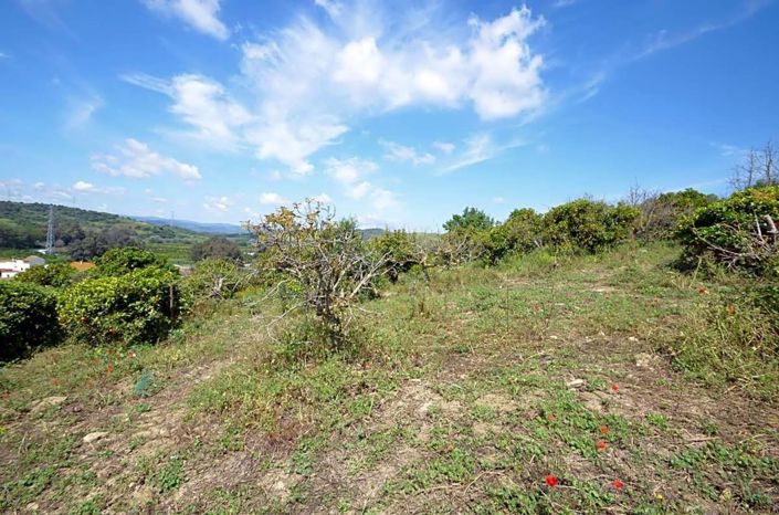 Image No.24-3 Bed Country House for sale