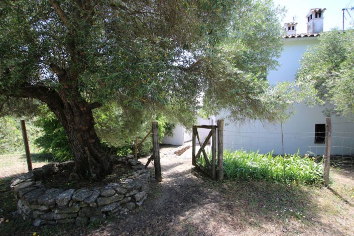 Image No.39-3 Bed Country House for sale