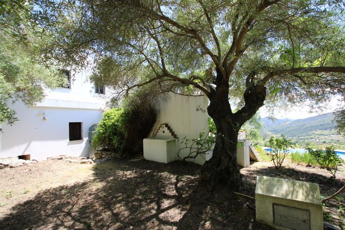 Image No.40-3 Bed Country House for sale