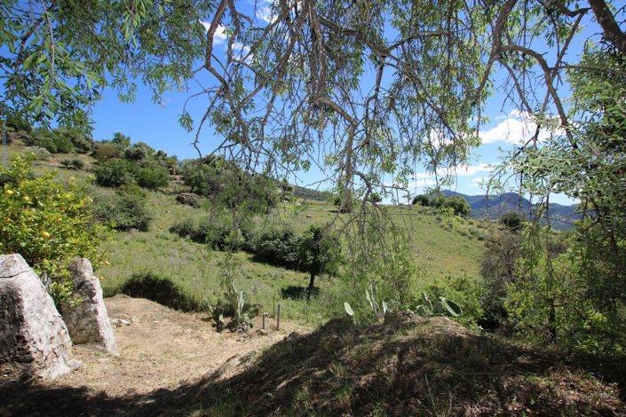 Image No.9-3 Bed Country House for sale