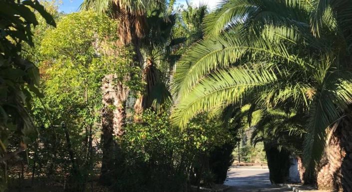 Image No.36-13 Bed Property for sale