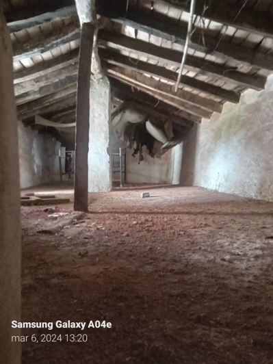 Image No.3-Village House for sale