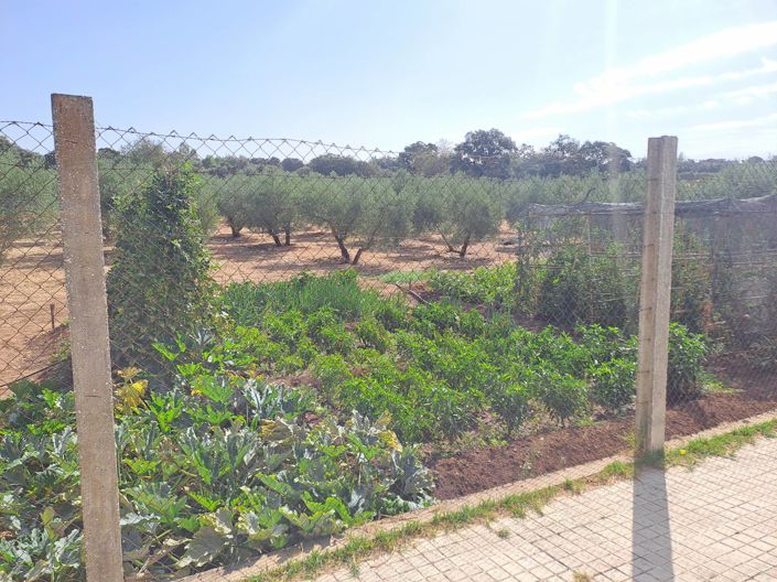 Image No.10-5 Bed Country House for sale