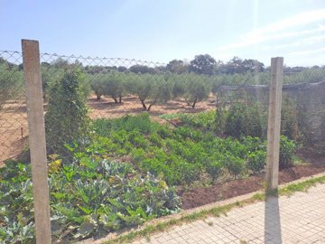 1xz6rs2scwxs0vldd5fniirlhusyv1e4