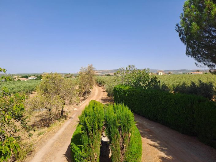 Image No.14-5 Bed Country House for sale