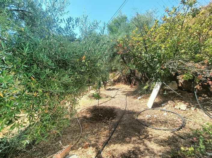 Image No.11-2 Bed Country House for sale