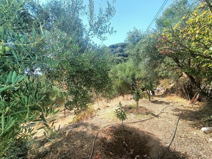 Image No.12-2 Bed Country House for sale