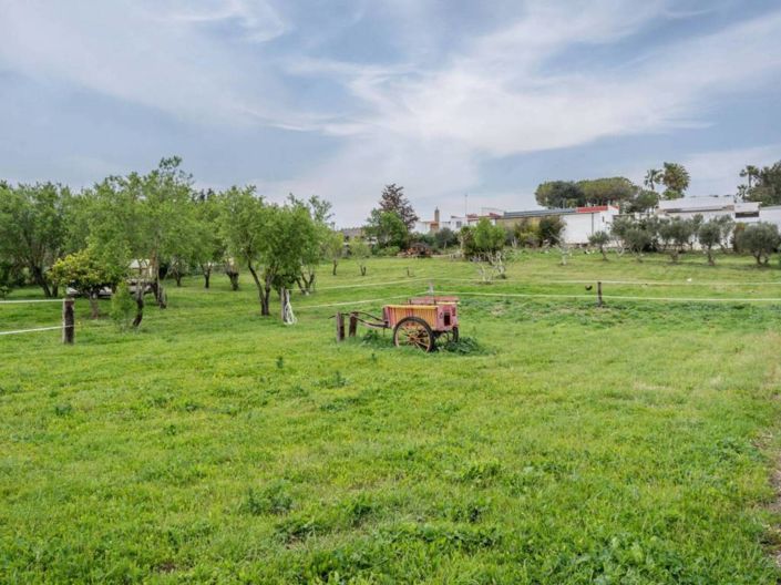 Image No.40-Propriété de 4 chambres à vendre à Chiclana de la Frontera