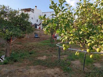 61h1a0oyc69el0qffqdnsa1swsnqgtcg