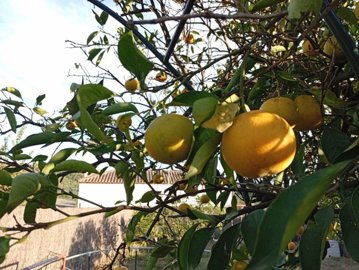 a8sjkmfopdi3lwbkvc5dga9carprgzg9