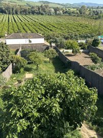 6nongeyueirq0dh04rjys9011gb3nfza