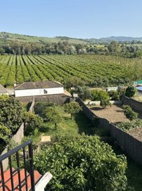 asuzi8j7td67jpnvlplrysfdafvh4wmm