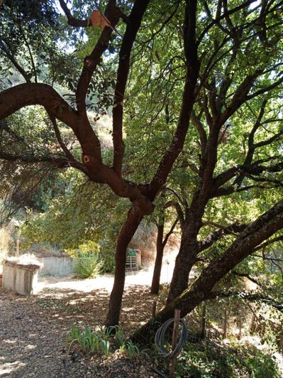 Image No.21-Finca de 2 chambres à vendre à Jubrique