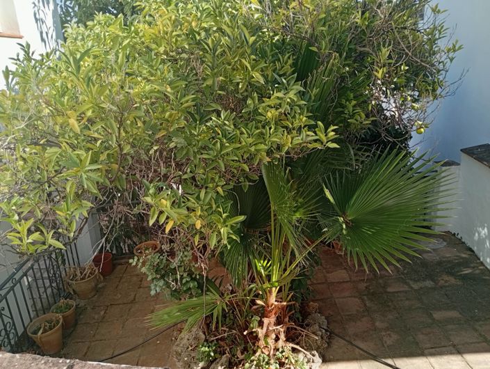 Image No.33-Maison de village de 4 chambres à vendre à Malaga