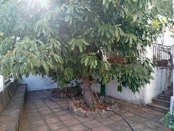 Image No.36-Maison de village de 4 chambres à vendre à Malaga