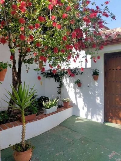 Image No.10-17 Bed Property for sale