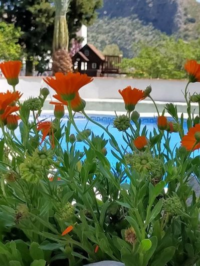 Image No.11-Propriété de 17 chambres à vendre à Ronda