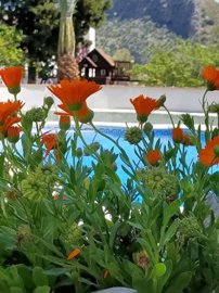 ixfmlpj7hniapuxuyjflr7jhkahh8ata