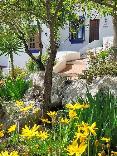 Image No.34-Propriété de 17 chambres à vendre à Ronda