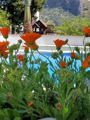 Image No.35-Propriété de 17 chambres à vendre à Ronda