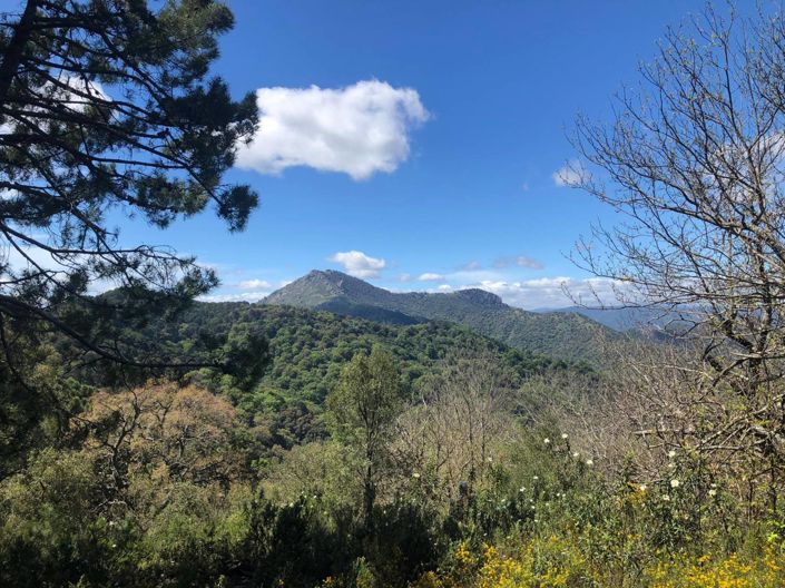 Image No.1-Plot for sale