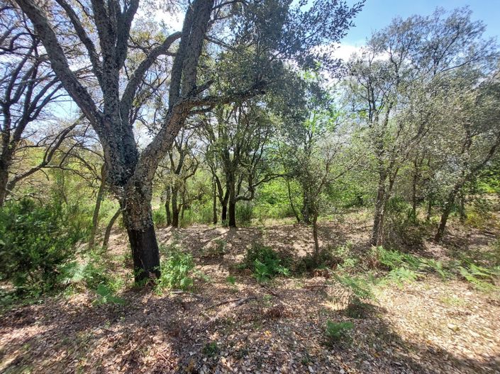 Image No.11-Plot for sale