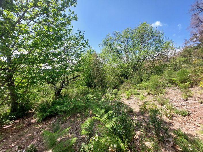 Image No.13-Plot for sale