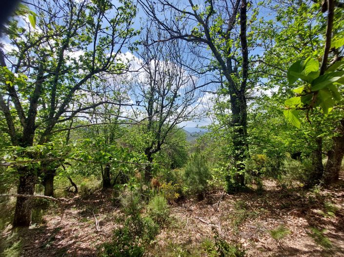 Image No.15-Plot for sale