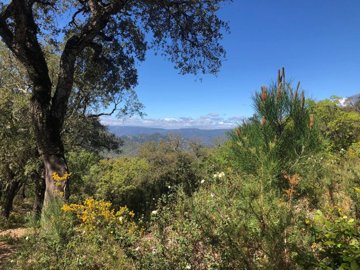 9xht6w1gigdlc4r80r3v0wuclelcn4qu