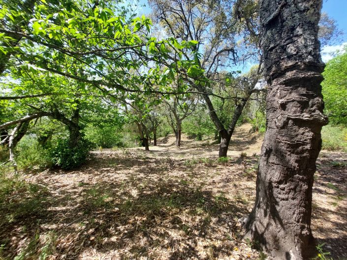 Image No.22-Plot for sale