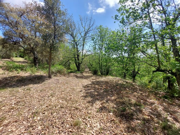 Image No.25-Plot for sale