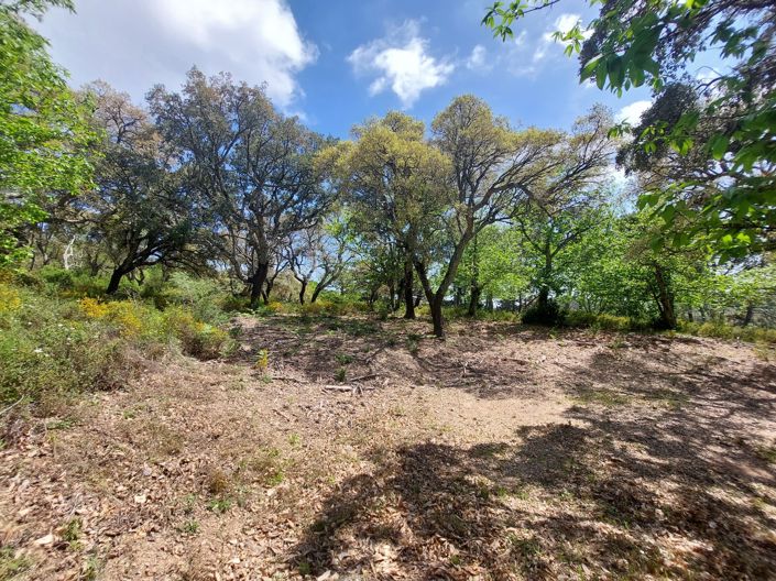 Image No.28-Plot for sale