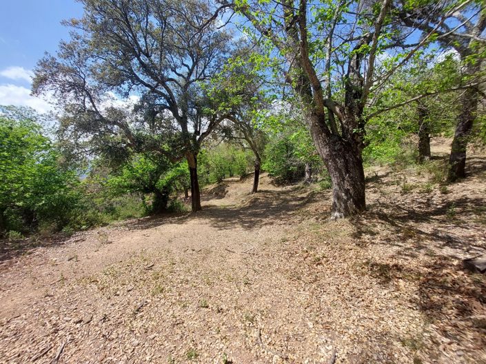 Image No.29-Plot for sale