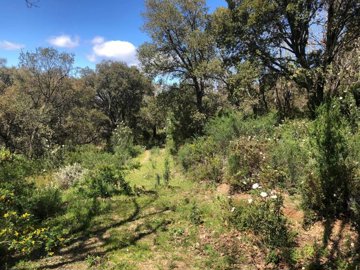 mndffvbhandr5lqoxtpct3ftnpu50ljd