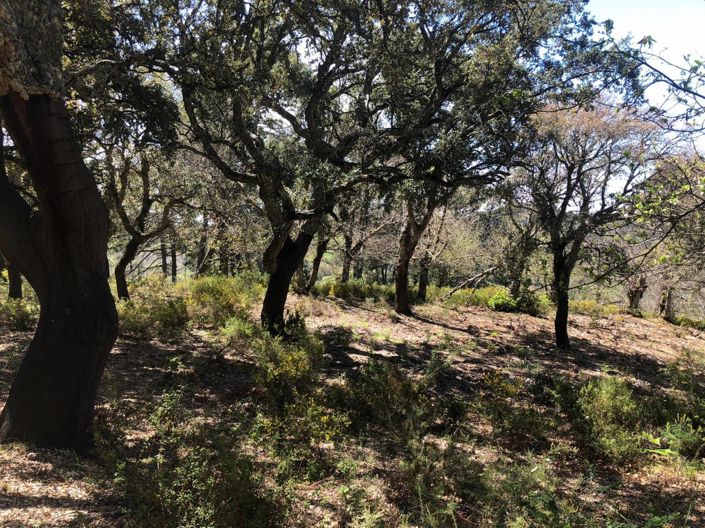 Image No.5-Plot for sale