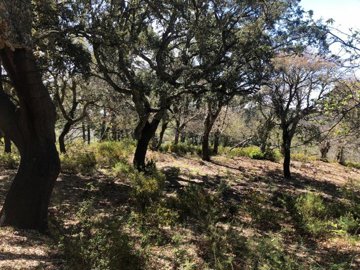 ebye8jywhq2sunjrnzjb28wbhnowzme4