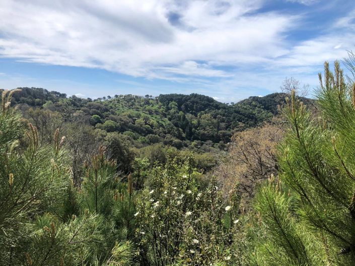 Image No.8-Plot for sale