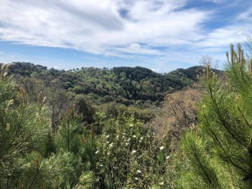 dgebak7gsmfalwvubcrg7eaiodpeh0vy