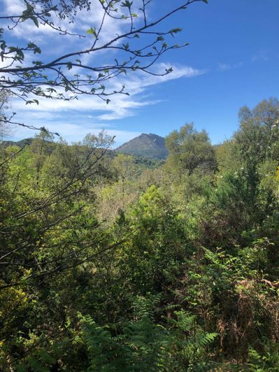 Image No.9-Plot for sale