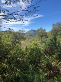 uknhs9tartn57ebqkkz8rlypnd6fjqrq